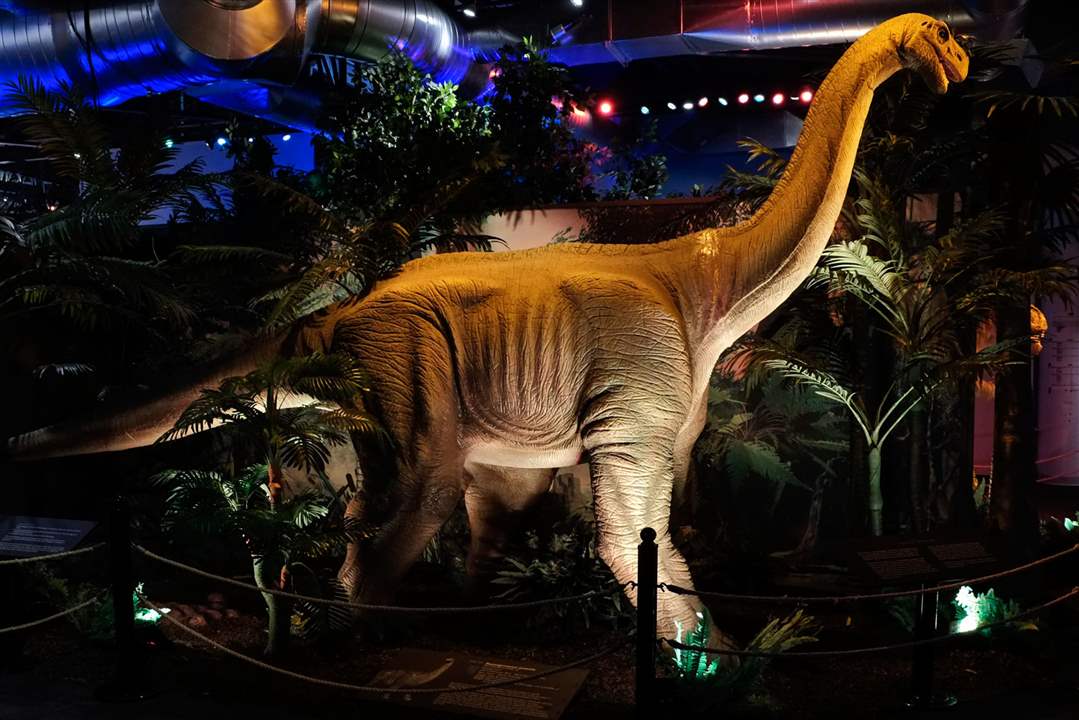 CTY-dinosaur21pA-juvenile-ruyangosaurus-animatronic