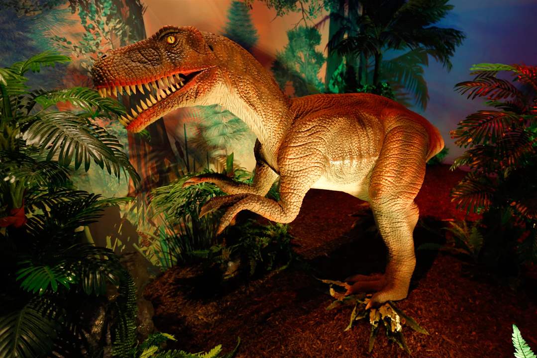 CTY-dinosaur21pJuvenile-Yangchuanosaurus-animatronic