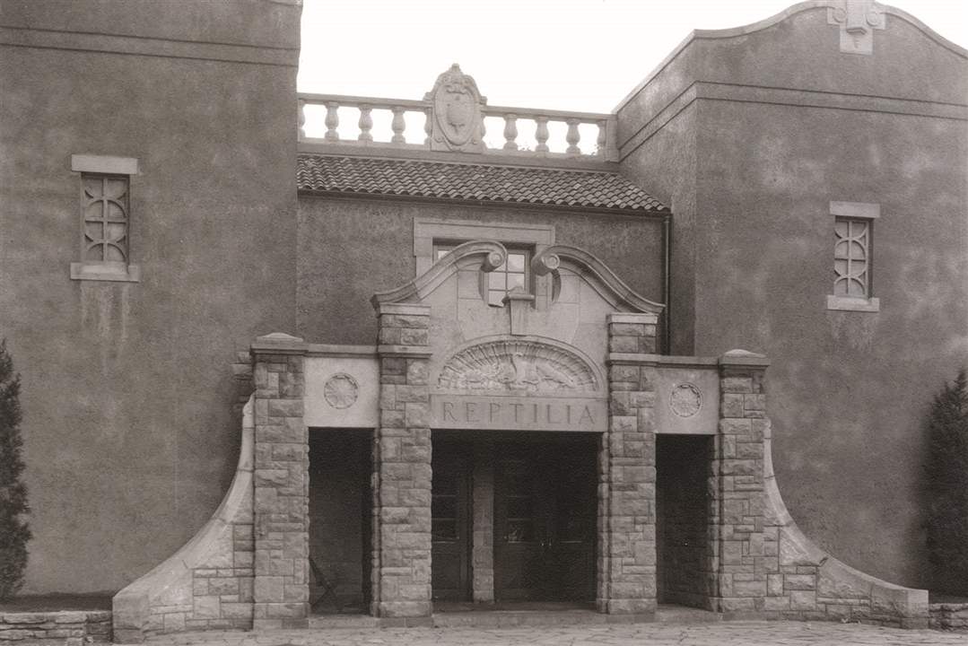 Toledo-s-Zoological-Park-reptilia