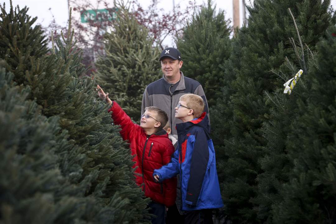 CTY-Rover09pJeff-Ort-of-Sylvania-top