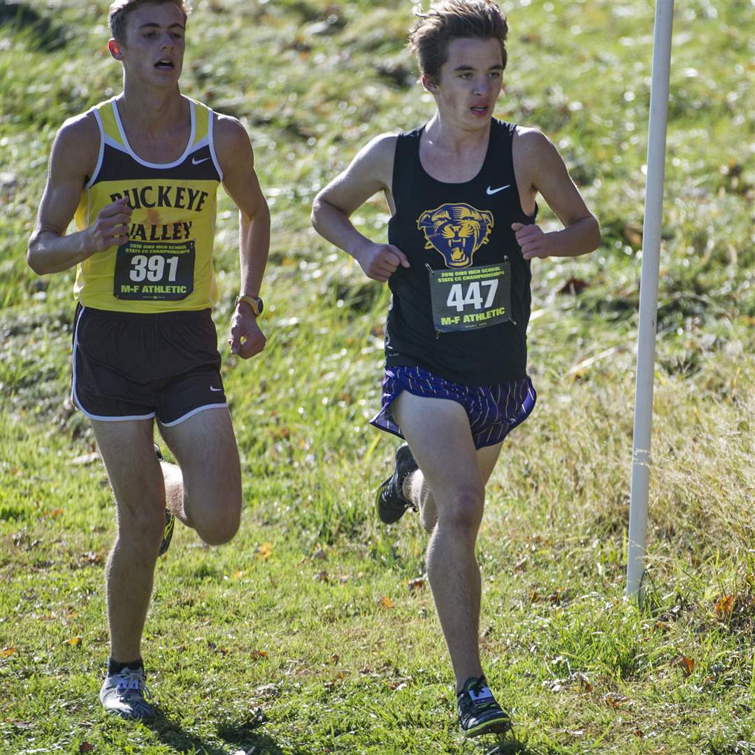 IN PICTURES Ohio cross country championships The Blade