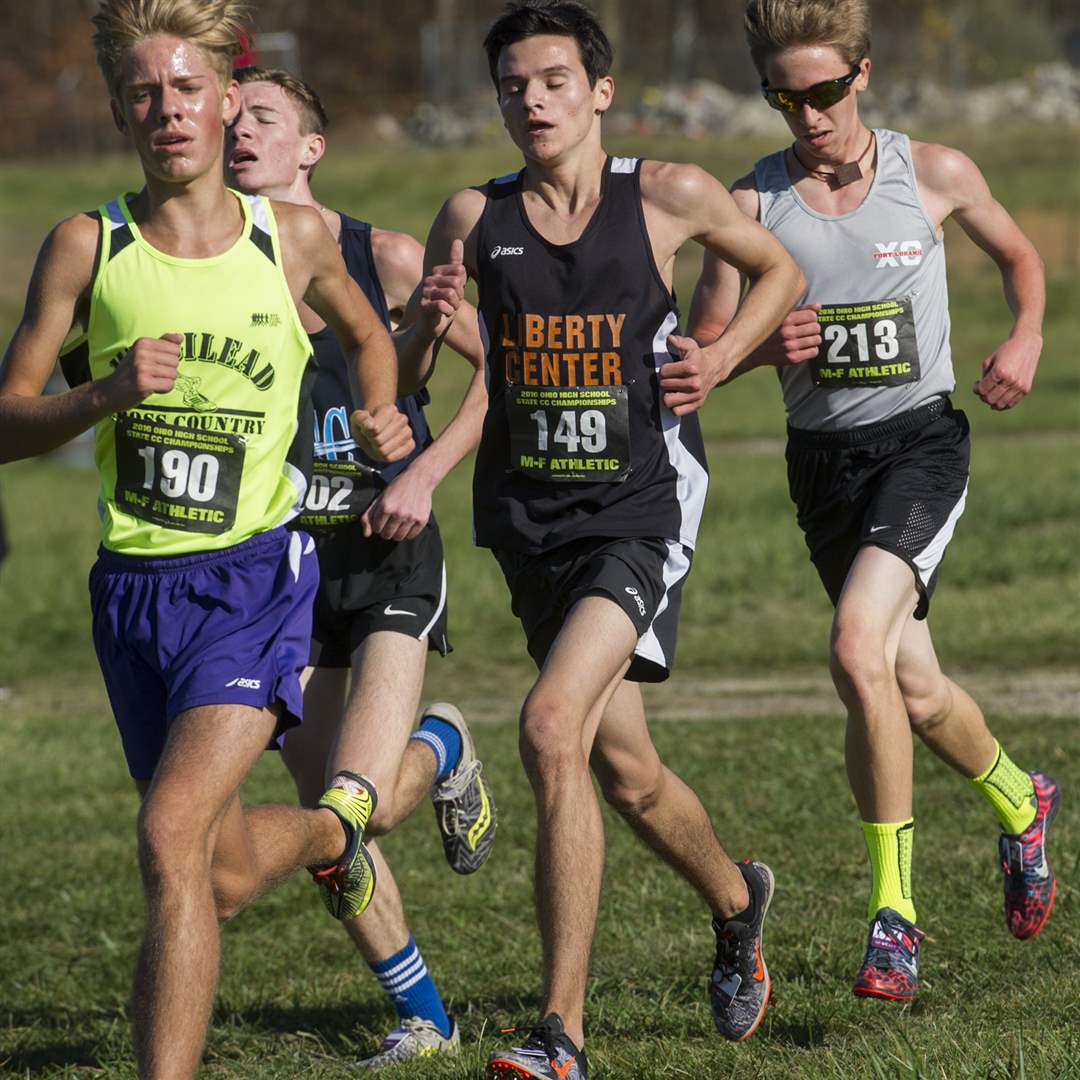 IN PICTURES Ohio cross country championships The Blade