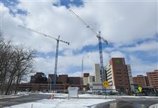 b4cranes-1