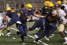 UTFB31-19