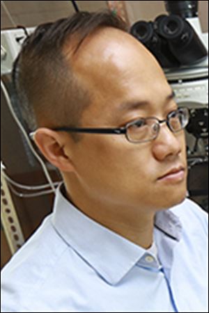Dr. Jianyang Du, assistant professor in the UT Department of Biological Sciences