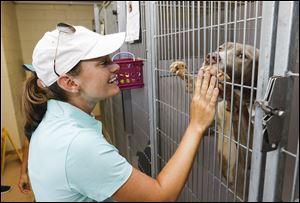 LPGA pro Cindy LaCrosse visits a dog at Lucas County Canine and Control, Tuesday, July 10, 2018.