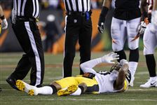 Steelers-Bengals-Football-14